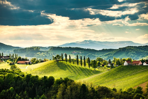 Discover Styria: Fine food, wine and nature in the Green Heart of Austria