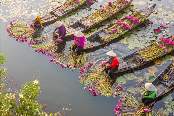 Vietnam del Sud: tra metropoli, Mekong e isole tropicali