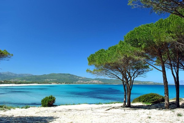 Summer in Sardinia: B&Bs for a relaxing holiday