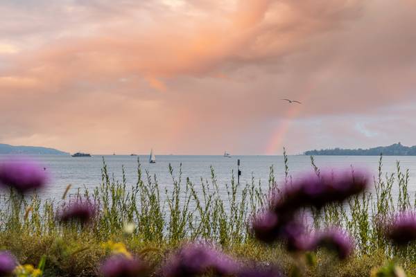 Bodensee: Die schönsten Orte für entspannte Ferien am See