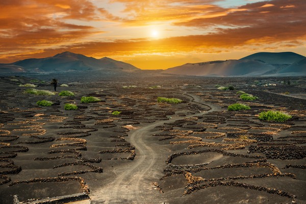 Lanzarote entdecken: Sehenswürdigkeiten, Strände und Reisetipps für die Vulkaninsel