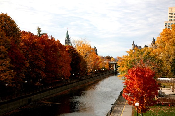 L'été indien à Ottawa : un hôtel pour votre escale lors d'un circuit